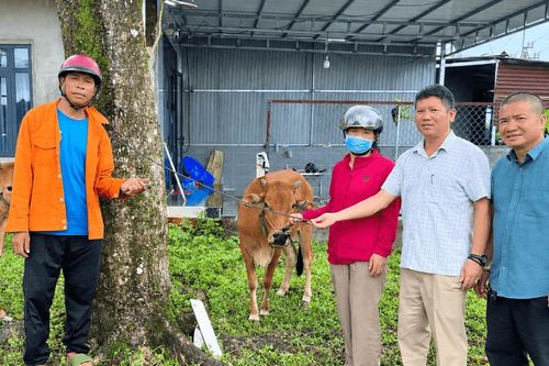 Hỗ trợ sinh kế phù hợp với nhu cầu người dân
