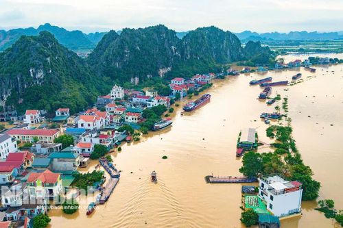 Tập trung toàn lực khoanh vùng tiêu úng và bảo vệ an toàn đê điều