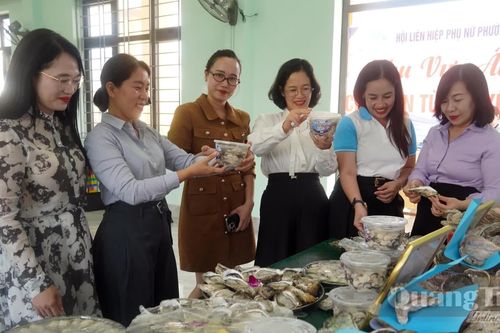 Ra mắt Hợp tác xã nuôi trồng và chế biến hàu Bắc Gianh