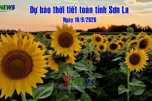 Dự báo thời tiết toàn tỉnh Sơn La ngày 19/9/2026