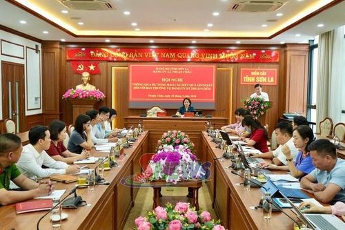 Tập trung khắc phục những hạn chế, khuyết điểm sau giám sát