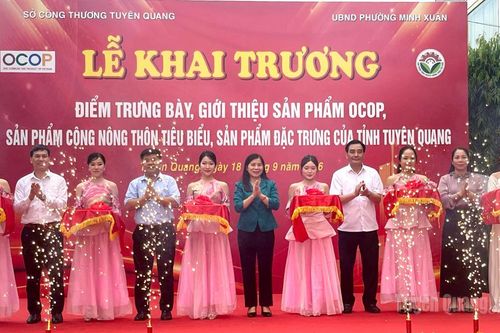 Khai trương điểm trưng bày và giới thiệu sản phẩm OCOP tại phường Minh Xuân