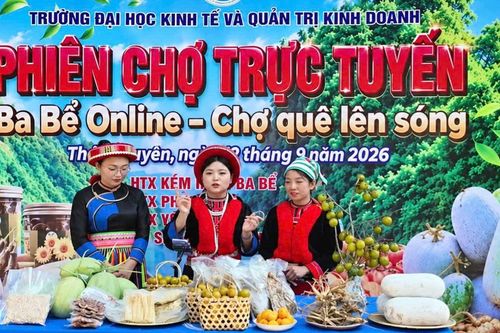 Thương mại điện tử và bài toán nhân lực mới