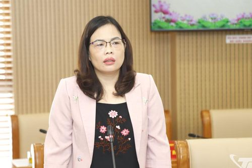 Rà soát, thẩm tra kỹ các nội dung trình Kỳ họp thứ bảy HĐND tỉnh Thái Nguyên