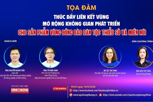 Thúc đẩy liên kết vùng, mở rộng không gian phát triển cho sản phẩm vùng đồng bào dân tộc thiểu số và miền núi