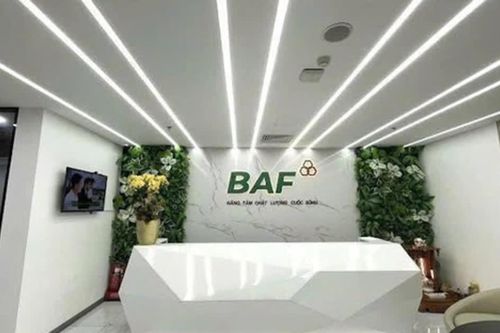 BAF thêm lãnh đạo mới, lập công ty 100 tỷ khi áp lực nợ vay và định giá cao