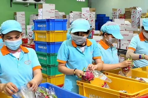 Cơ hội từ dịch chuyển chuỗi cung ứng: Cần hiện thực hóa bằng đơn hàng