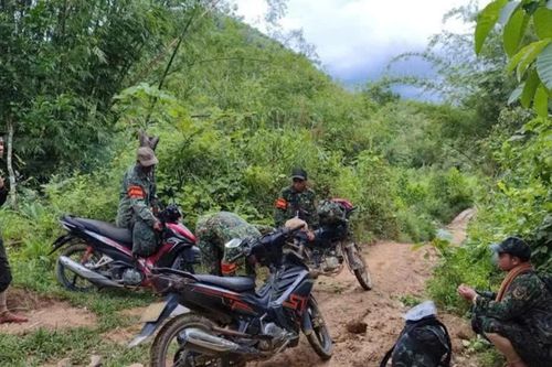 Mở thêm nguồn lực cho rừng Đà Nẵng