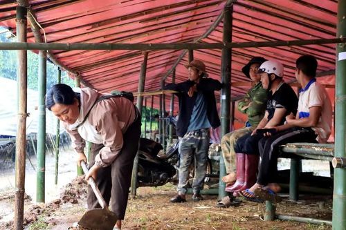 Lâm Đồng: Di dời, bảo đảm an toàn cho người dân ở vùng sạt lở