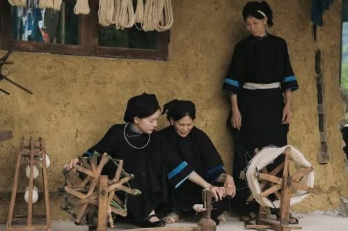Dự án Nùng Indigo vào chung kết Cuộc thi Dự án khởi nghiệp thanh niên nông thôn