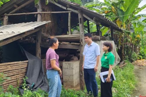 Hội viên nông dân xã Nguyễn Huệ sử dụng hiệu quả các nguồn vốn