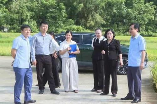 Giám sát thực hiện kế hoạch đầu tư công trung hạn tại Trùng Khánh