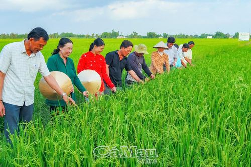Chuyển đổi kép 'xanh, số': Con đường phát triển bền vững - Bài cuối: Tháo điểm nghẽn, tạo sức bật tăng trưởng mới