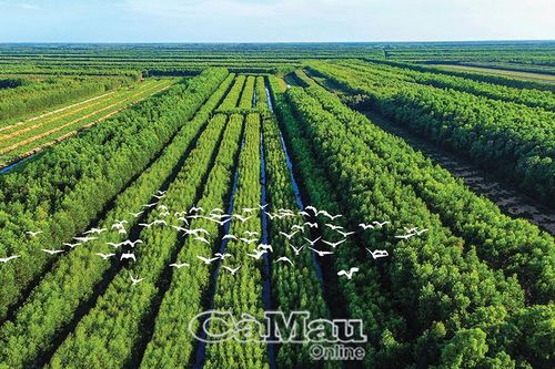 'Dấu vân tay sống' của một vùng đất
