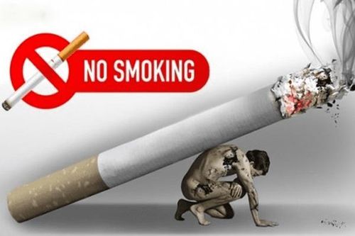 Phát động Cuộc thi viết về phòng, chống tác hại của thuốc lá trong ngành Tòa án