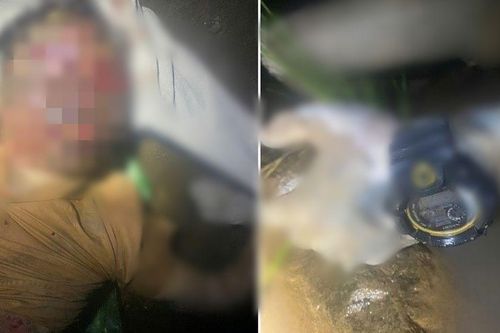Phát hiện thi thể nam giới mắc kẹt trên vách đá ở bến Ba Cô, Đồng Nai: Nạn nhân có đặc điểm gì?