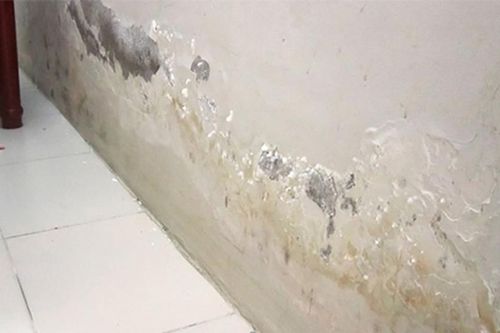 Nhà bị mưa ngập, xử lý thế nào để tránh tường bong tróc, ẩm mốc?