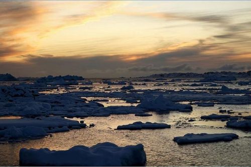 Trái Đất mất hơn 11.000 tỷ tấn băng ở Greenland và Nam Cực