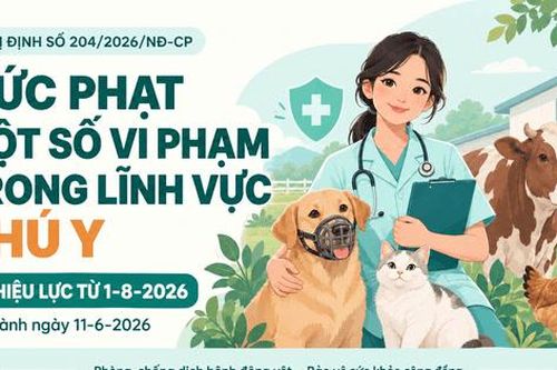 Những mức phạt cần biết trong lĩnh vực thú y