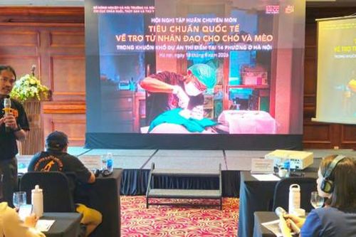 Trợ tử nhân đạo cho chó, mèo - hiện thực hóa phúc lợi động vật