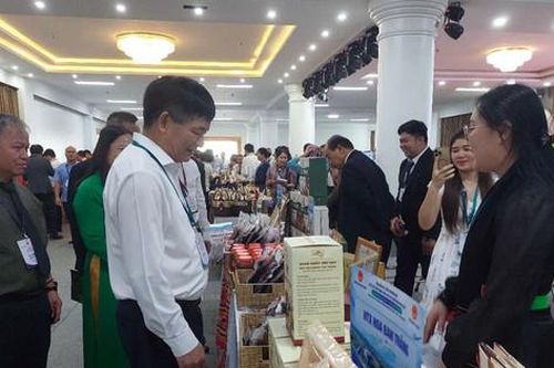 Số hóa, xanh hóa mở không gian mới cho giao thương biên mậu