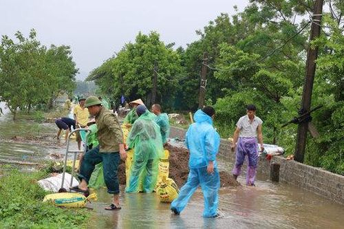 Tiếp tục duy trì công tác ứng trực, ứng phó với mưa lũ