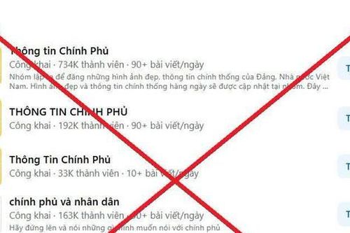 'Ma trận' nhóm 'Thông tin Chính phủ' trên Facebook
