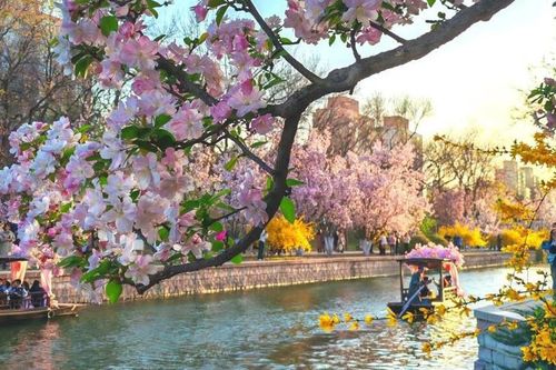 Ngày sinh Âm lịch của người khôn ngoan, sắc sảo