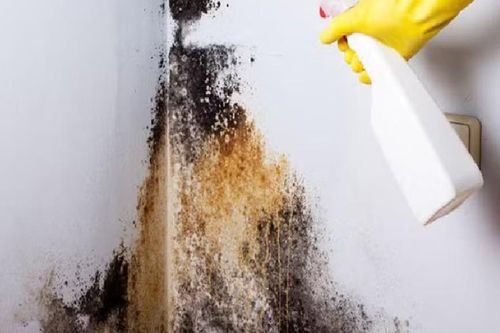 4 mẹo xử lý chống ẩm mốc tường, sàn nhà sau mưa vừa nhanh vừa đỡ tốn kém
