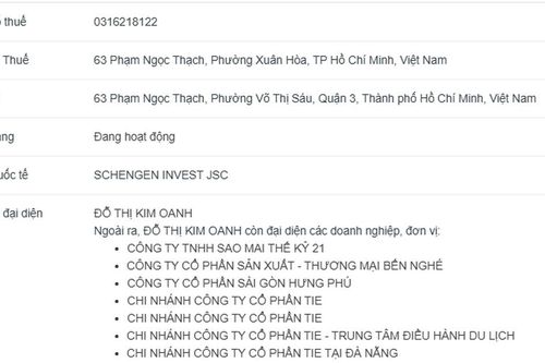 Công ty Cổ phần Schengen mua 225.680 cổ phiếu IN4 nhưng không đăng ký