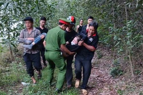 Người phụ nữ sốc phản vệ độ 3 vì bị đàn ong vò vẽ tấn công
