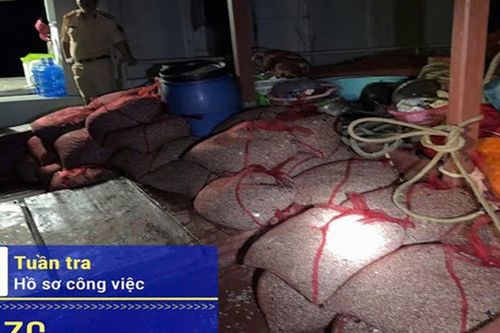 Phát hiện 5 tàu khai thác thủy sản trái phép trên Vịnh Hạ Long