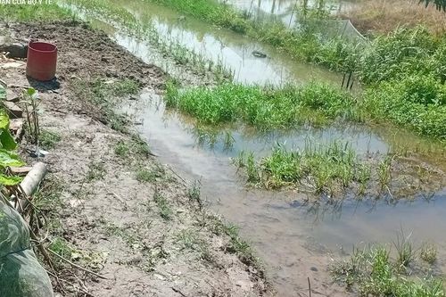Bắt cá trước ao nhà, hai vợ chồng gặp nạn, tử vong
