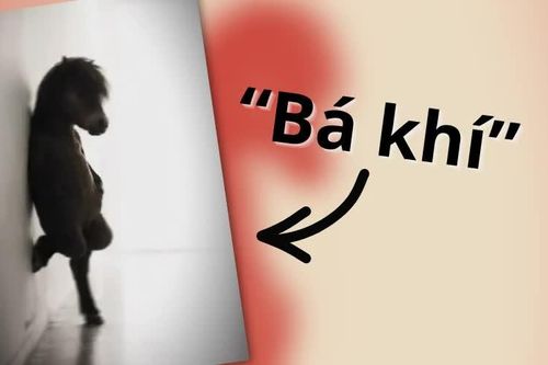 'Bá khí' là gì, có nguồn gốc từ đâu mà thành meme phủ sóng khắp mạng xã hội?