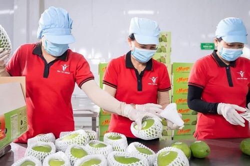 Chuẩn hóa nguồn cung, giữ đơn hàng xuất khẩu