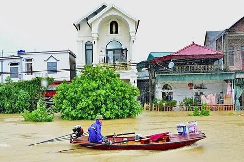 Ninh Bình: Tập trung tiêu úng và bảo đảm đời sống người dân sau mưa lũ