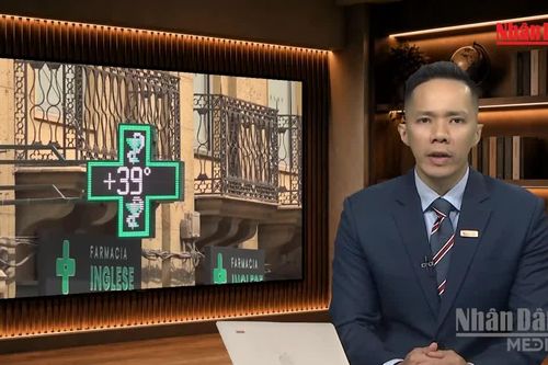 [Video] Tiêu điểm 19/9: Châu Âu trước bài toán thích ứng với nắng nóng cực đoan
