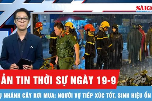 Bản tin thời sự ngày 19-9: Cập nhật vụ cây gãy đổ trong cơn mưa tại TPHCM