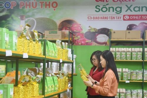 OCOP Phú Thọ - động lực quan trọng thúc đẩy phát triển kinh tế địa phương