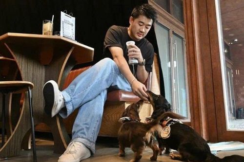'Nền kinh tế độc thân' bùng nổ ở châu Á, quy mô vượt 1.000 tỷ USD