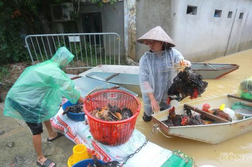 Thực phẩm ngập nước không được đưa vào cứu trợ sau bão số 4