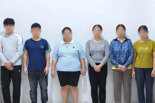 Vụ livestream chửi bới tại Bệnh viện Lạc Việt: Cả bố mẹ chồng và bố mẹ đẻ đồng loạt vướng lao lý