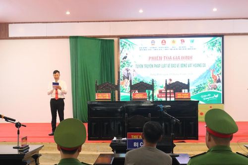 350 sinh viên theo dõi phiên tòa giả định về bảo vệ động vật hoang dã