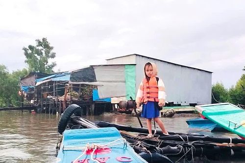 Những chuyến xuồng nuôi giấc mơ con chữ ở vùng cửa biển Cà Mau