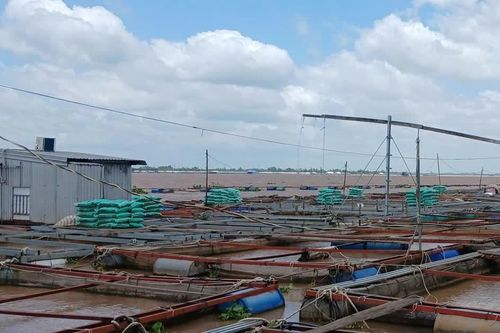 Hai cha con bị điện giật rơi xuống sông mất tích