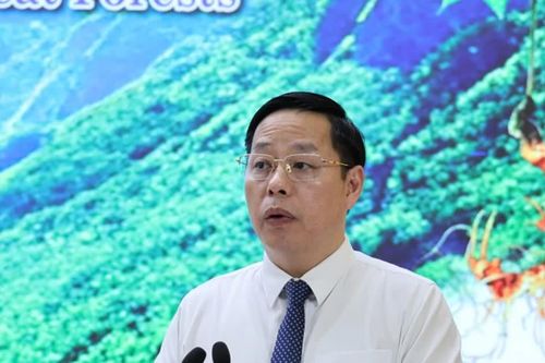 Đưa sâm Lai Châu thành sản phẩm quốc gia