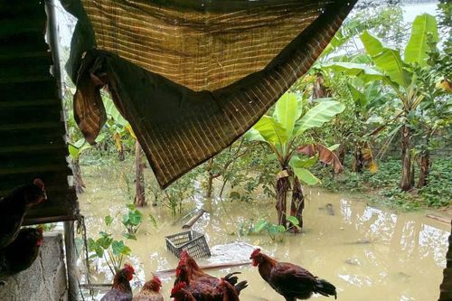 Khẩn trương tiêu độc, phòng dịch bệnh sau mưa lũ