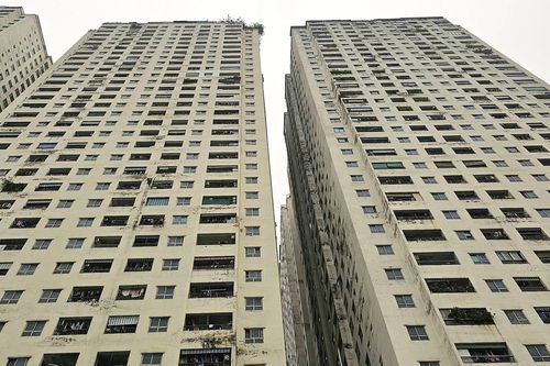 Nguyên Cục trưởng đề xuất cách xử lý đáng chú ý, không 'cắt ngọn' HH Linh Đàm
