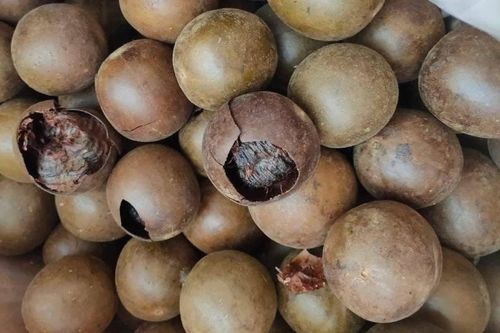 Bác sĩ hướng dẫn cách dùng quả la hán an toàn, hiệu quả