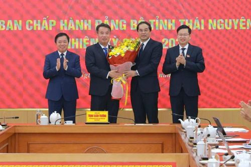 Ông Nguyễn Thế Mạnh được giới thiệu làm Chủ tịch UBND tỉnh Thái Nguyên